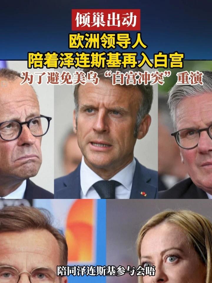 倾巢出动，欧洲领导人陪着泽连斯基再入白宫，为了避免美乌“白宫冲突”重演#俄乌局势 #美国 #乌克兰