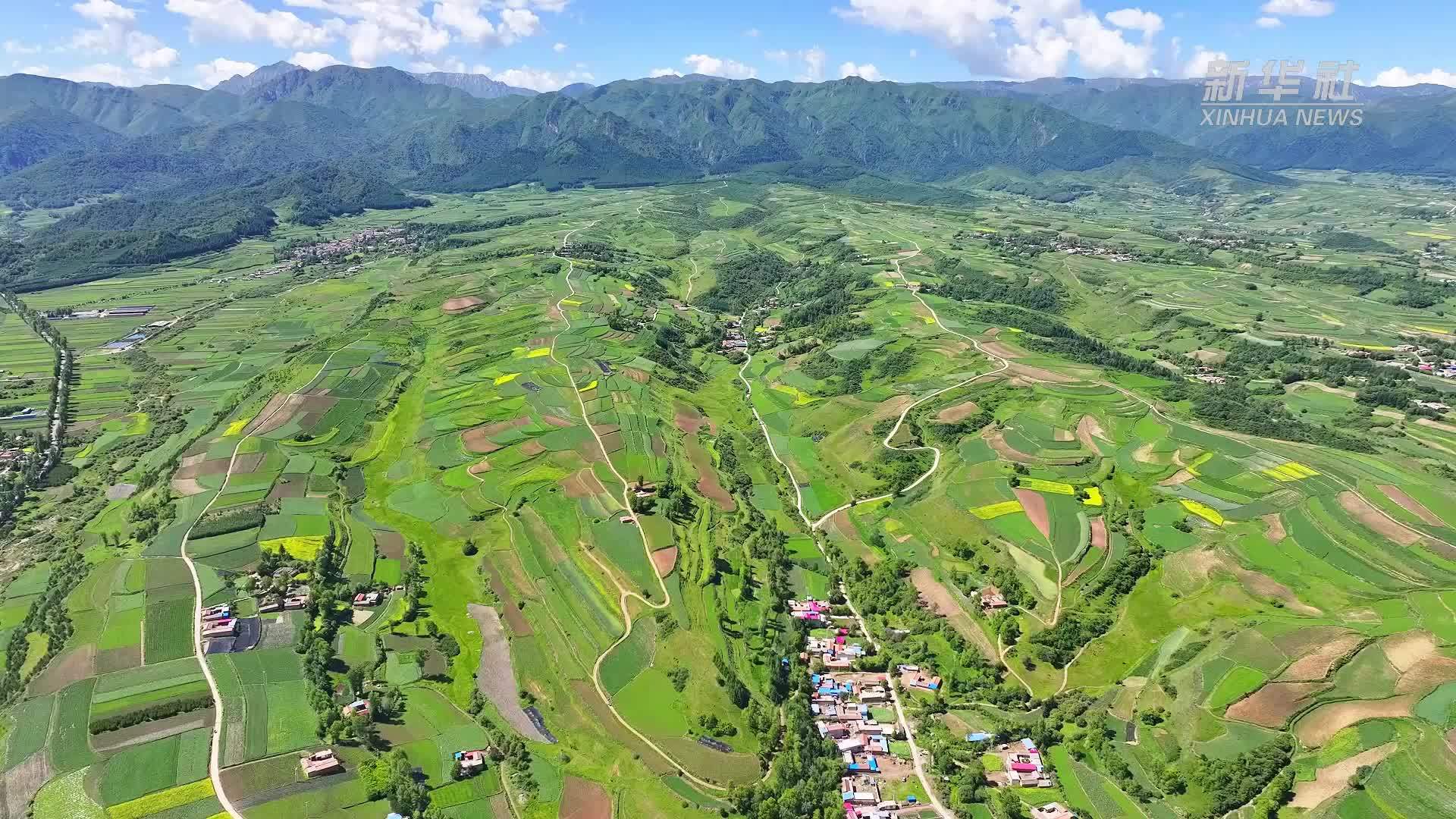 甘肃渭源：中药材种植基地药香四溢
