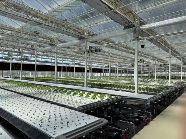 智慧农业植物工厂项目。