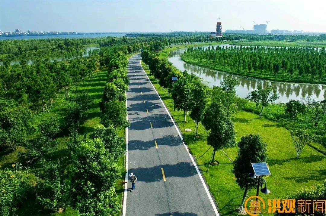 从“灰山”到绿岛，看南昌“生态鸟岛”诞生记