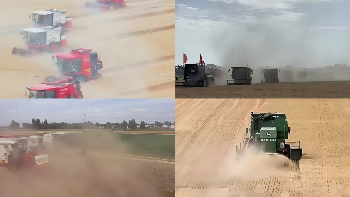 图1 机械收割尘土漫天飞扬