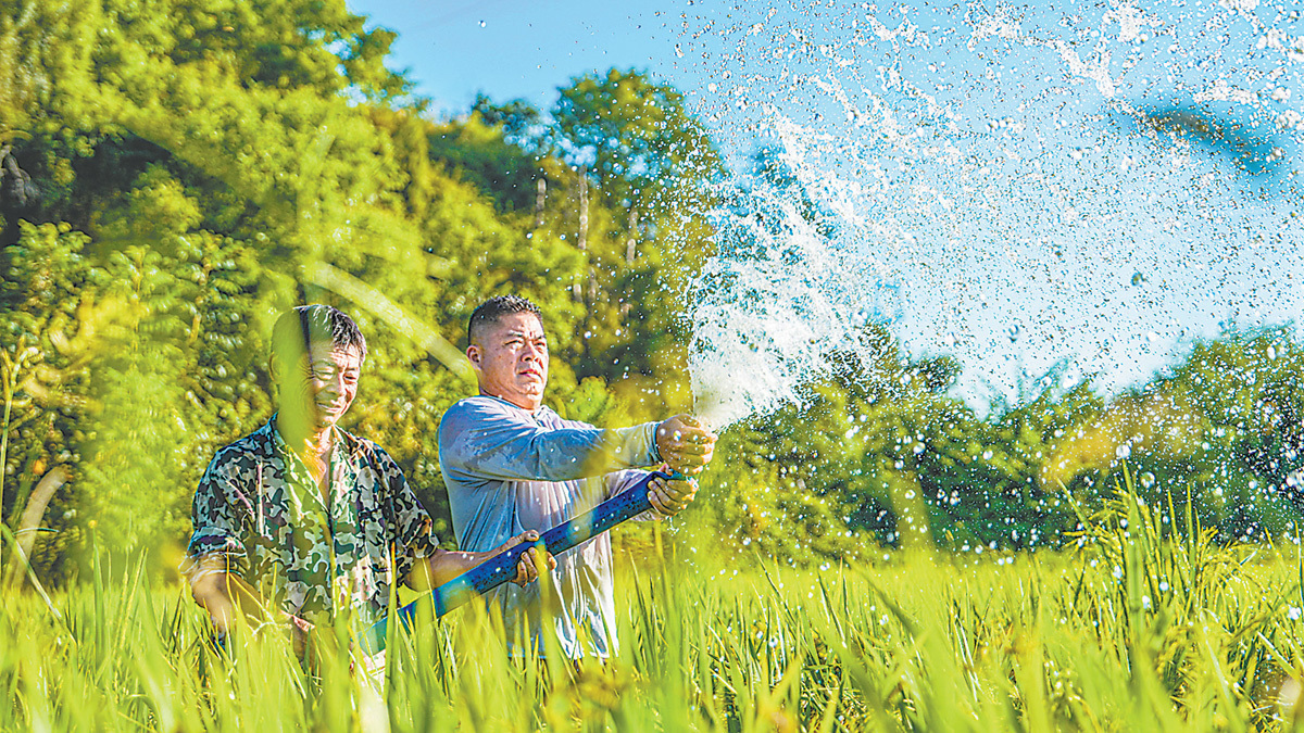 南豐縣：抽水抗旱保豐收（圖）