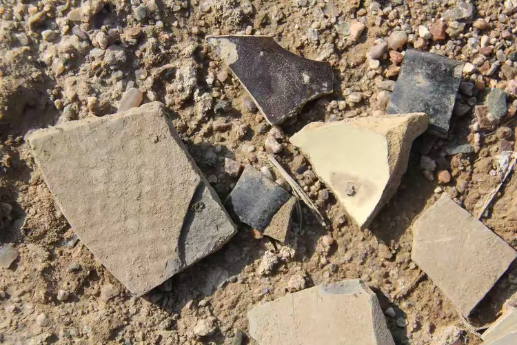 安西城散见的碎瓦瓷片