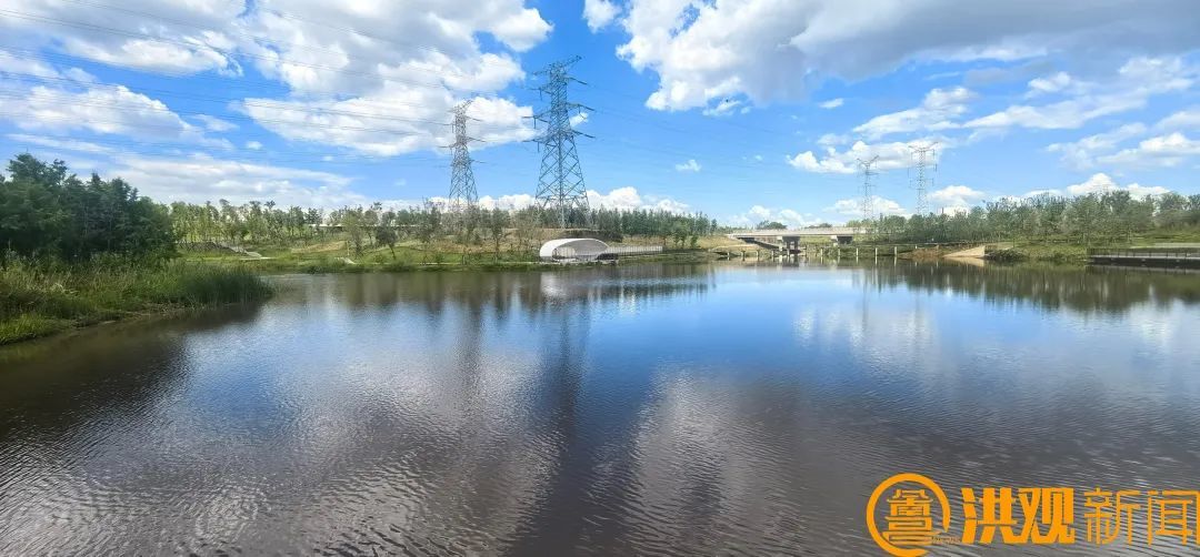 从“灰山”到绿岛，看南昌“生态鸟岛”诞生记