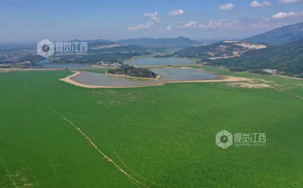湖床上已经长满绿茵茵的草甸,草色绵延不断,“大草原”景象显现。