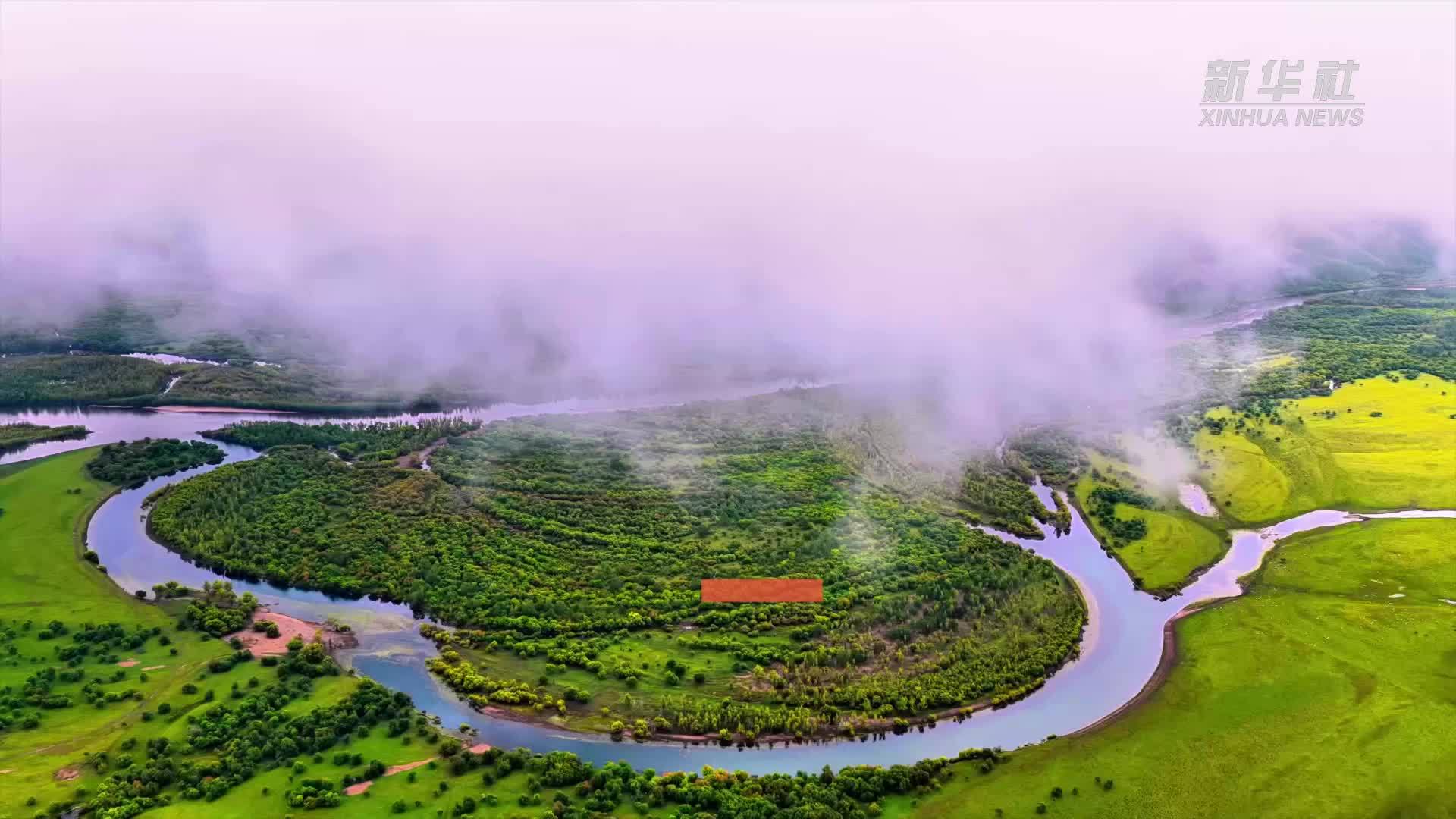 千城胜景｜秋日额尔古纳湿地 生灵与天地和鸣
