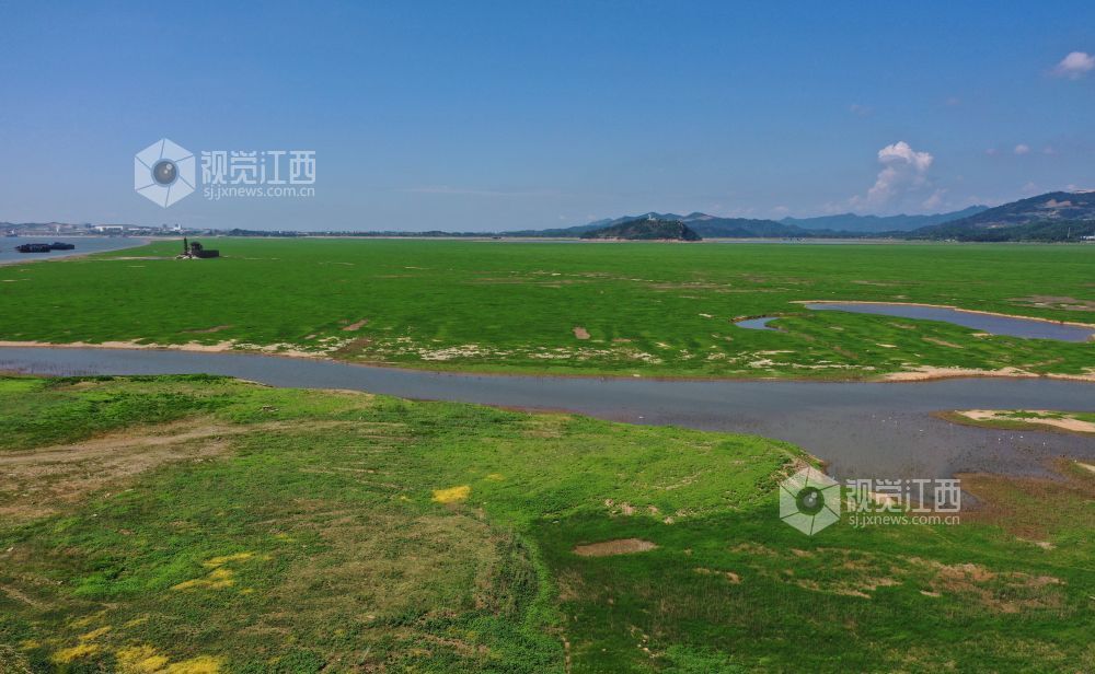 湖床上已经长满绿茵茵的草甸,草色绵延不断,“大草原”景象显现。