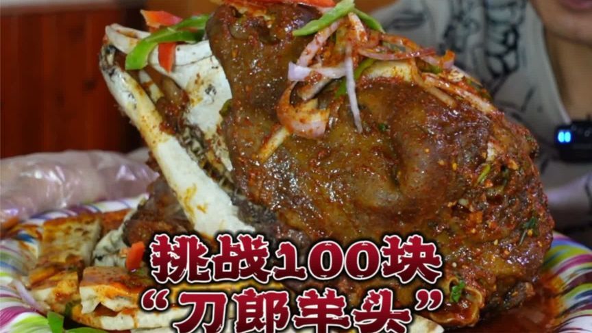 100元挑战新疆天价羊头！麦盖提羊为何能卖1200万？太香了！
