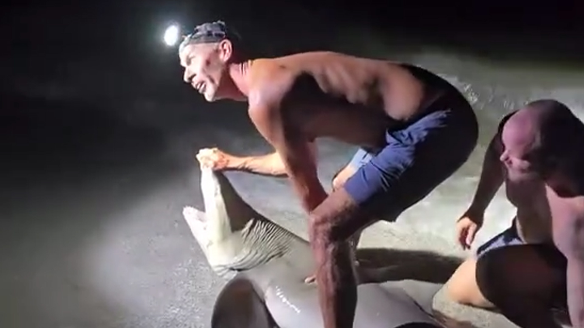 美国男子捕到鲨鱼后正合影，鲨鱼突然猛烈挣扎，男子腿被咬到鲜血直流