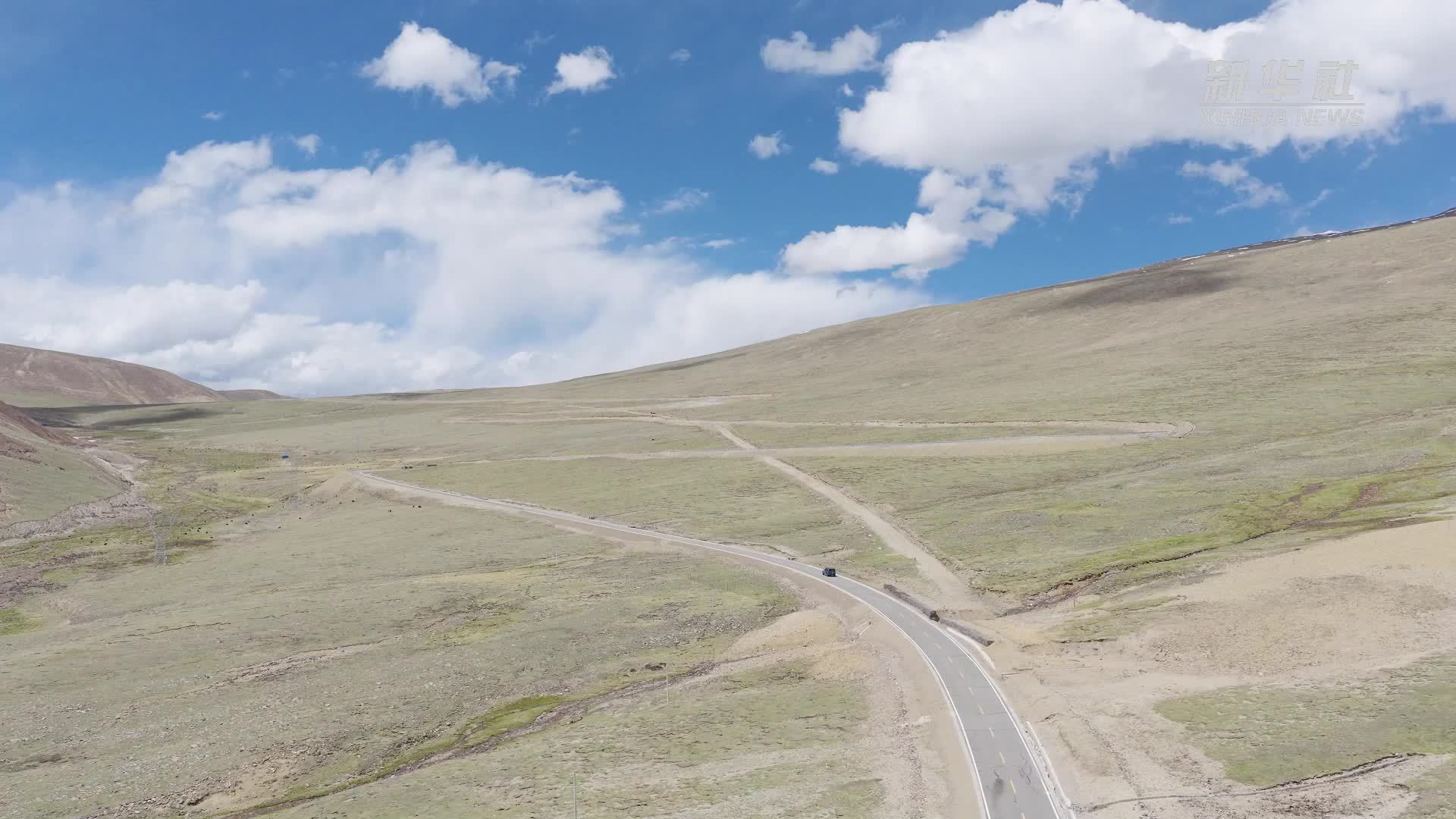 无人区纪行丨他们是“高原精灵守护神”