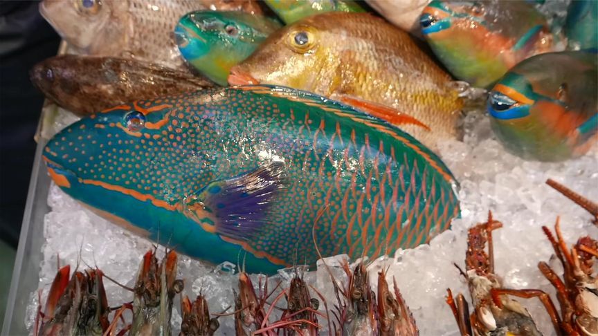 日本街头美食：巨型鹦嘴鱼生鱼片，这么好看的鱼，好吃吗？