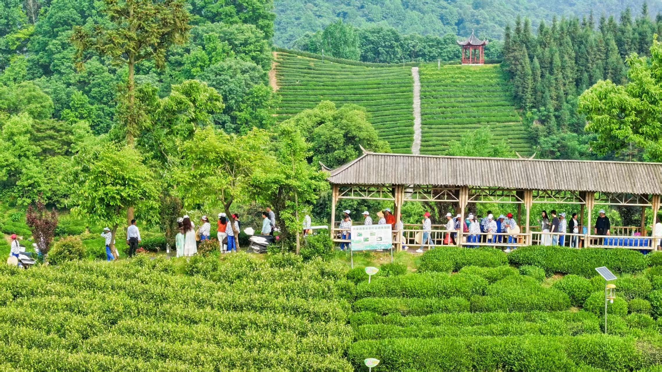 非遗“老手艺”闯出旅游“新市场”——安徽六安文旅融合高质量发展纪实