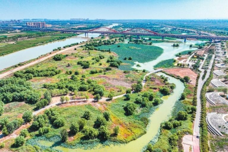 灞渭生态滩区(记者 王健 实习生 付子涵 摄)