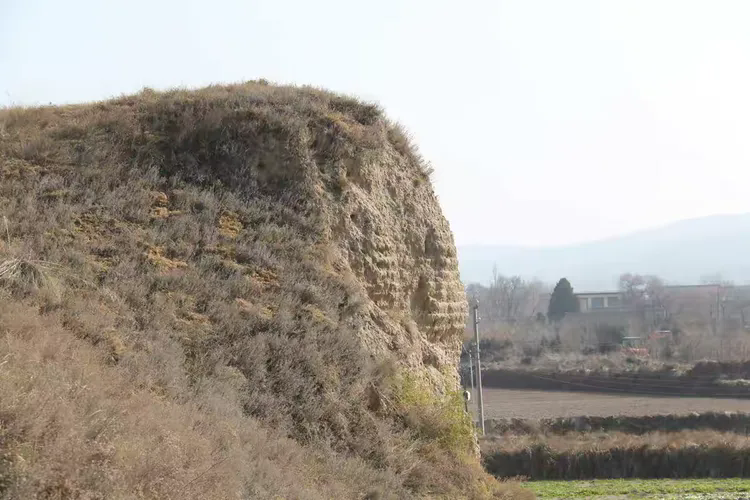 安西城西墙夯土层