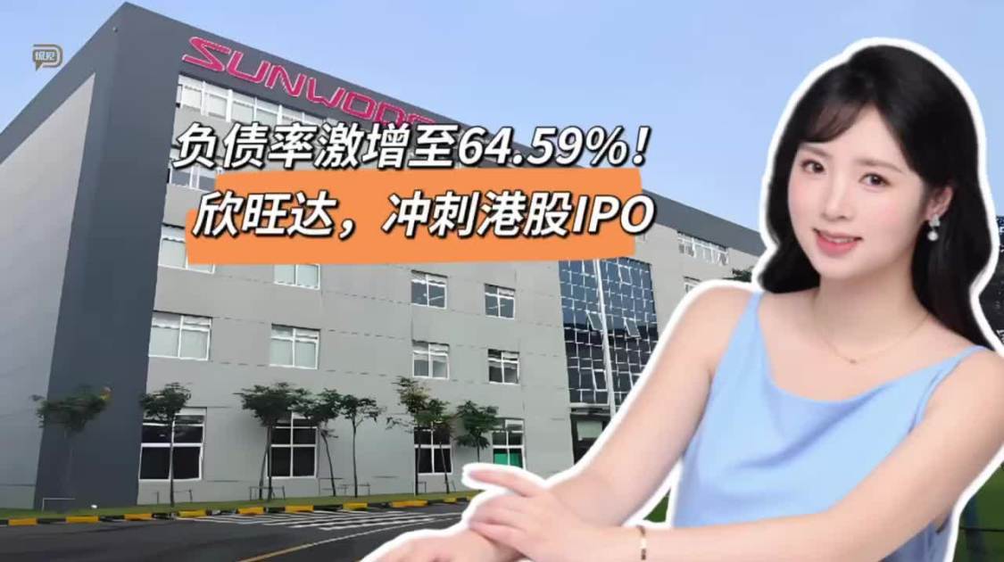 负债率激增至64.59%！欣旺达，冲刺港股IPO