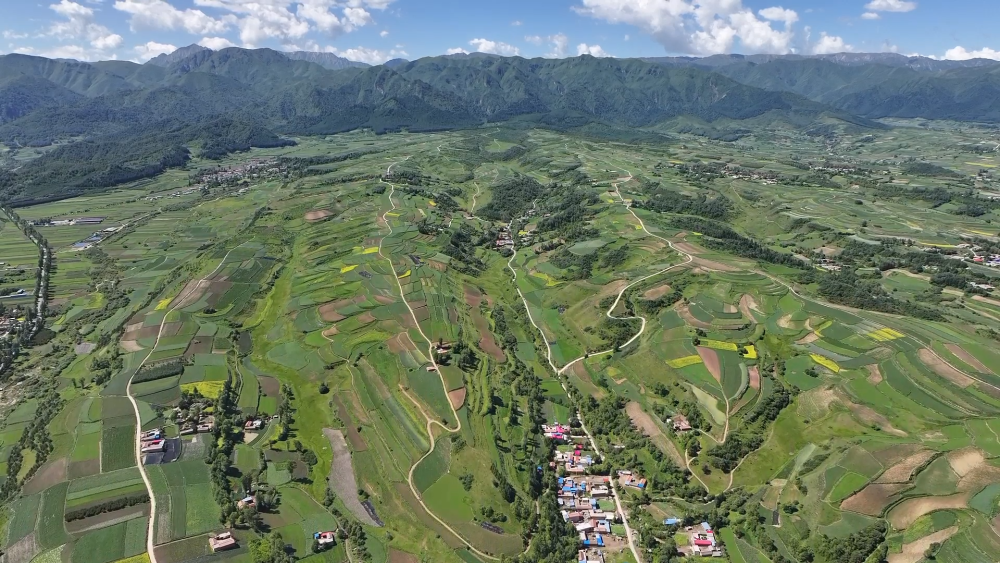 道地中药材飘香　甘肃渭源何以解锁致富良方