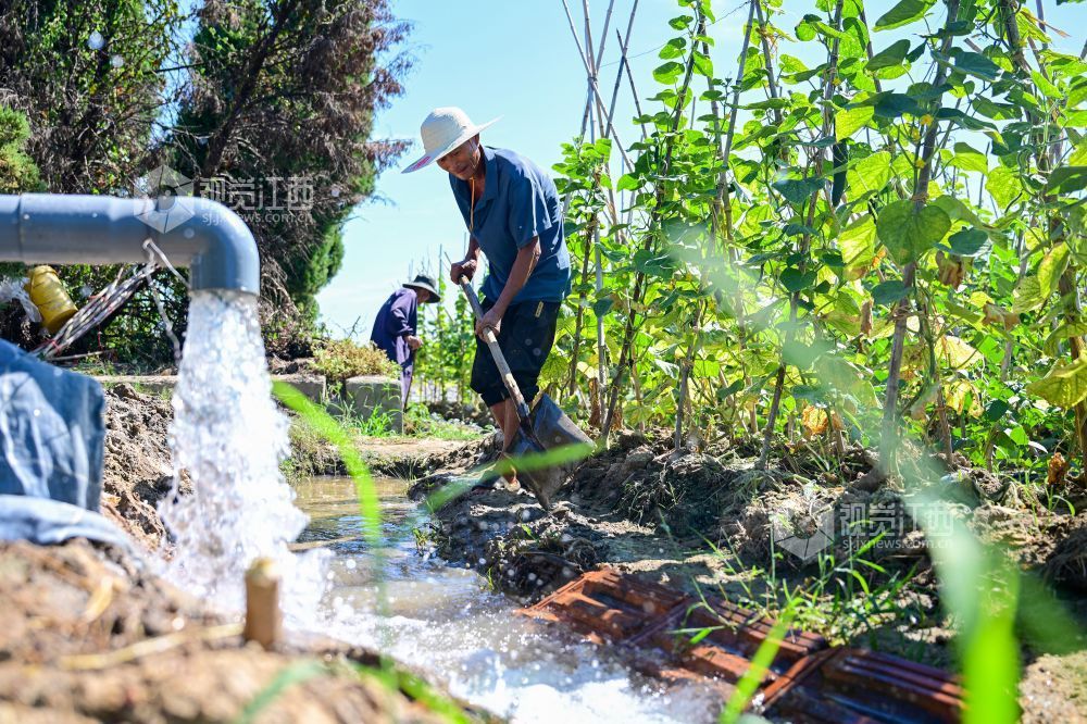 江西：抗旱保灌（图）
