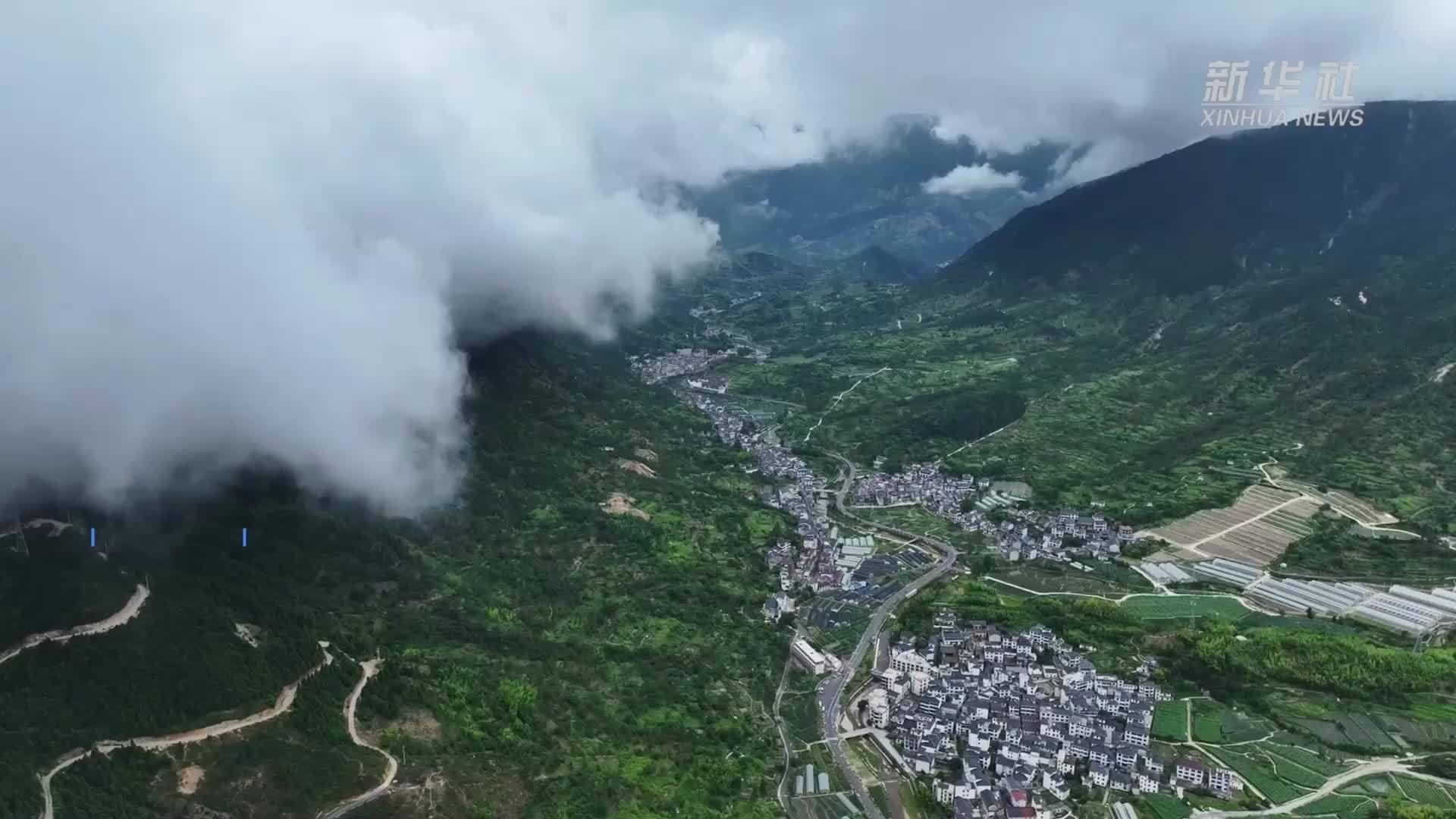 杭州临安：云间菜畦 清鲜藏山野