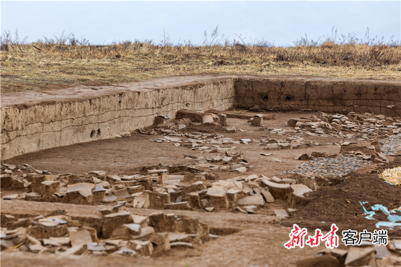 陇上寻秦二十载　他带团队挖出“全国十大考古新发现”