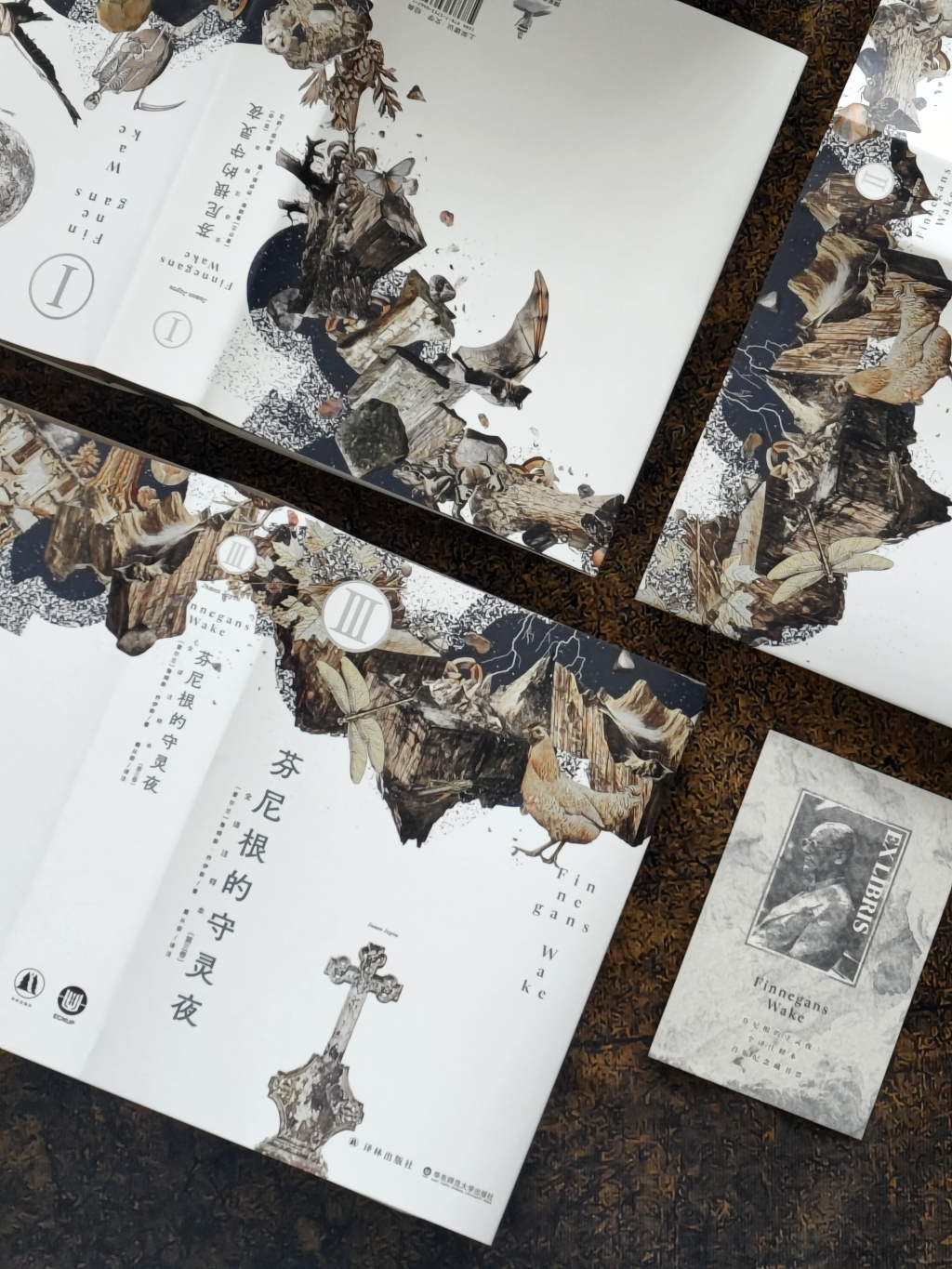 首个中文全译注释本来了，我们如何进入《芬尼根的守灵夜》？_凤凰网