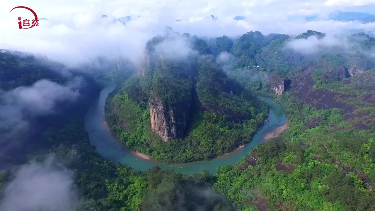 《“两山”微纪录——青山生金》视频来源：中国自然资源报社