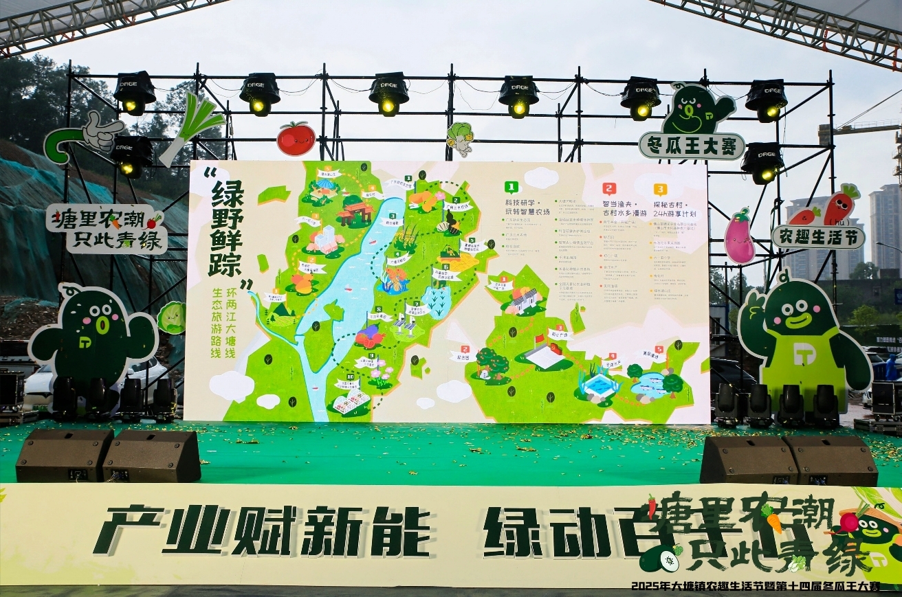 102.1斤黑皮冬瓜王诞生，大塘镇引领“农潮”新风尚