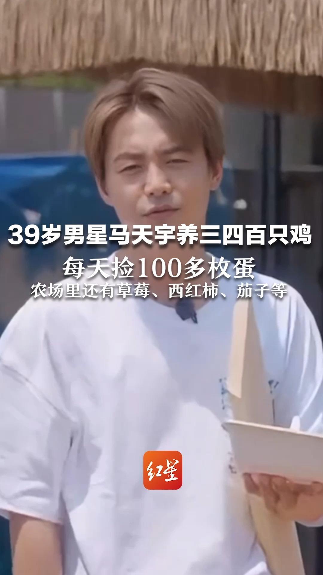 39岁男星马天宇养三四百只鸡 每天捡100多枚蛋 农场里还有草莓、西红柿、茄子等 称自己不工作的时候基本都会待在这里