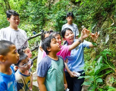  靖安縣：森林研學（圖） 