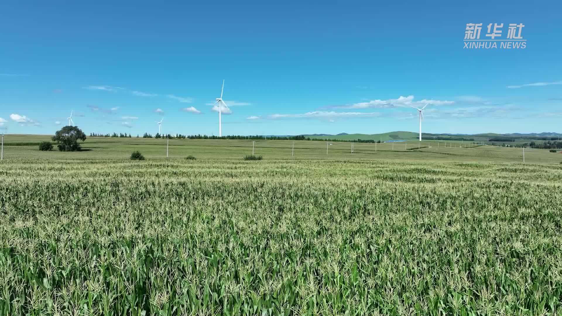 内蒙古科右前旗：科技赋能助力农民增收致富