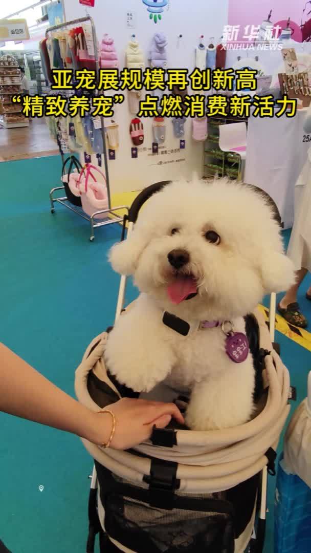 亚宠展规模再创新高“精致养宠”点燃消费新活力
