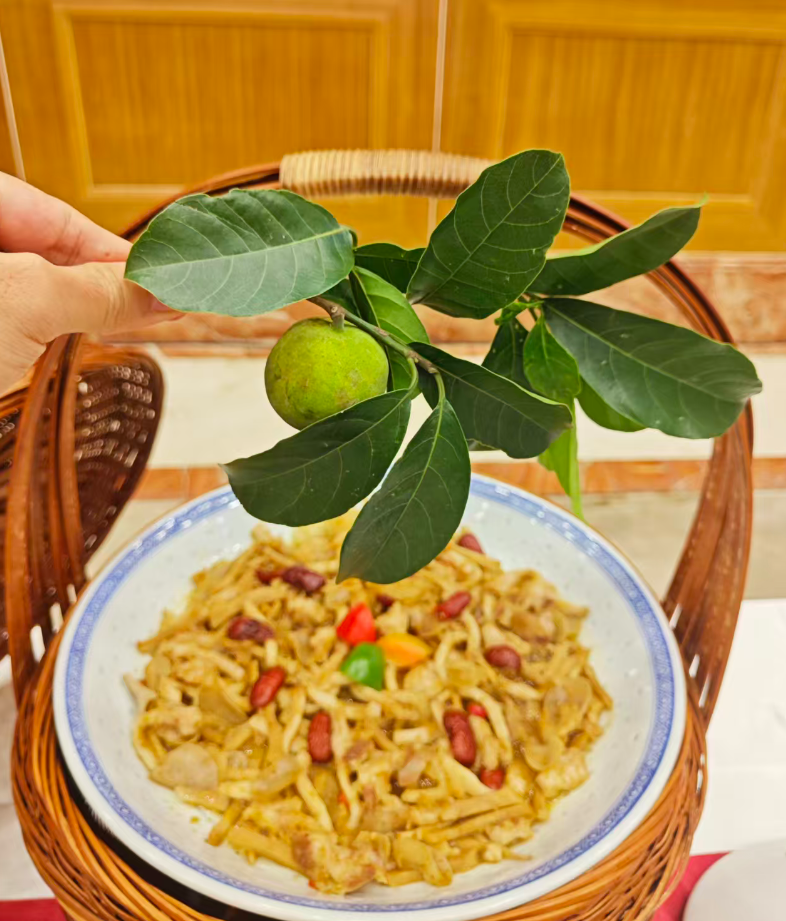 狗果美食节启幕:南海菜以千年智慧,添彩中华饮食文明