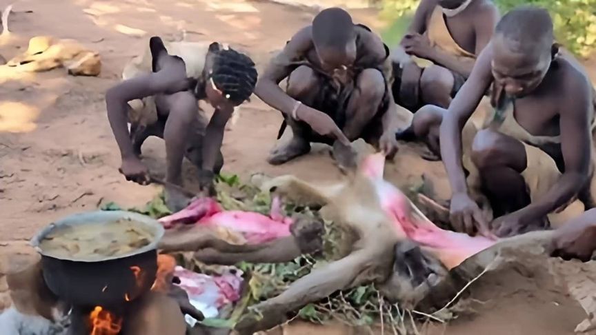 哈扎比部落在野外烹饪狒狒，太生猛了