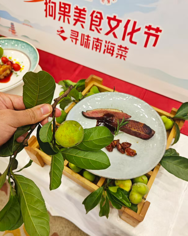 狗果美食节启幕:南海菜以千年智慧,添彩中华饮食文明