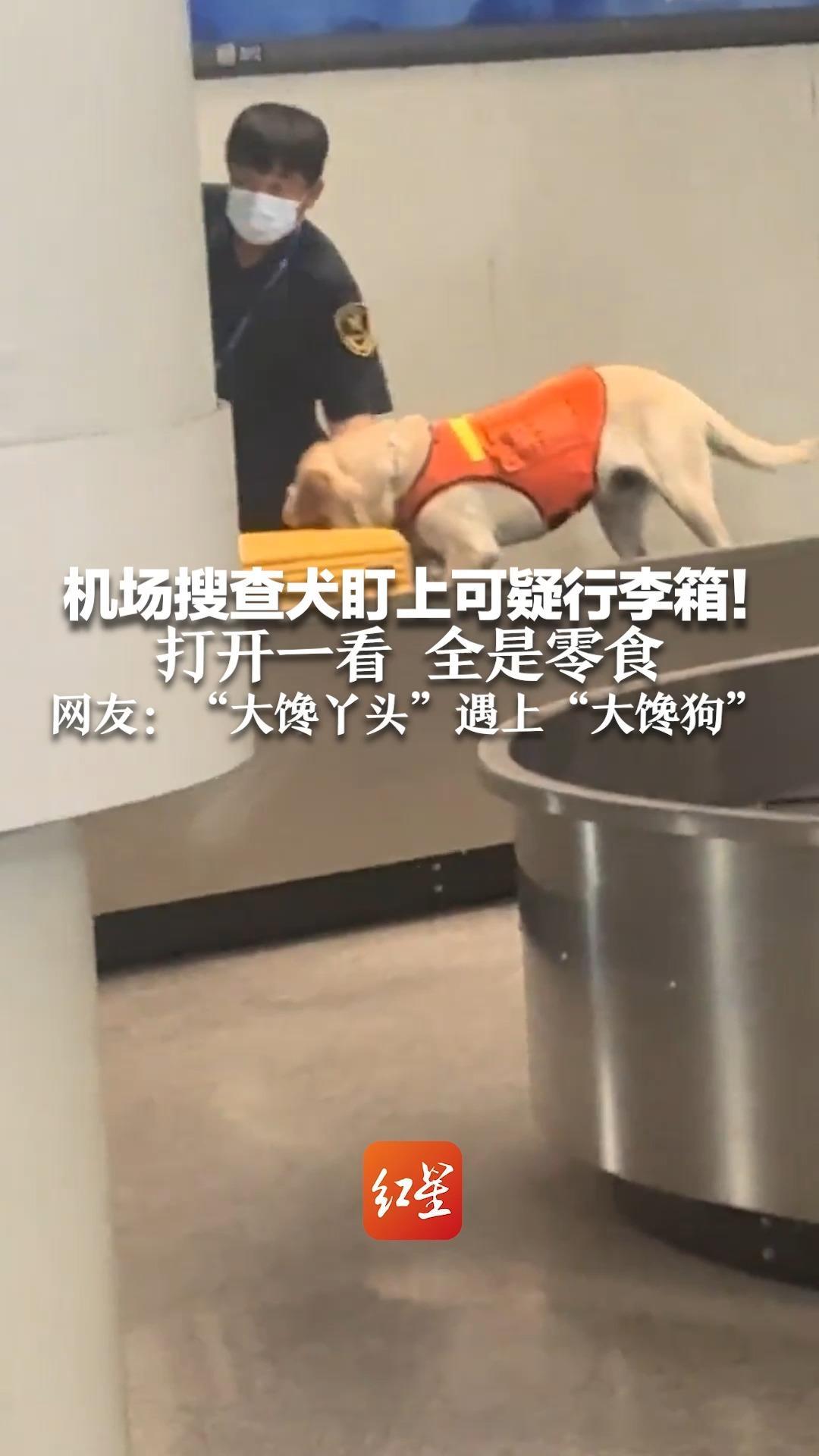 机场搜查犬盯上可疑行李箱！打开一看 全是零食 网友：“大馋丫头”遇上“大馋狗”