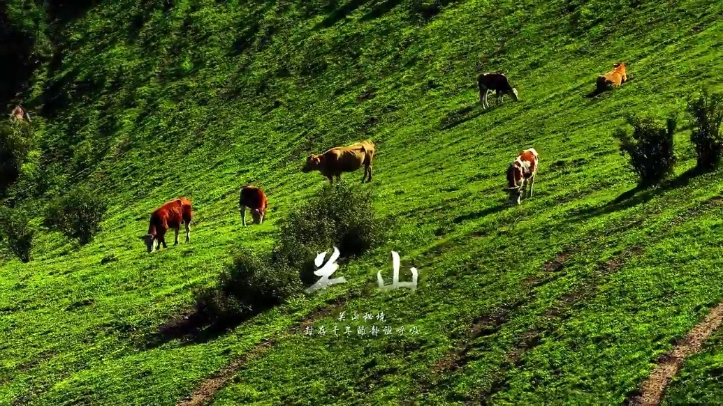 总要去华亭看一次关山秘境吧　每一帧都美成壁纸