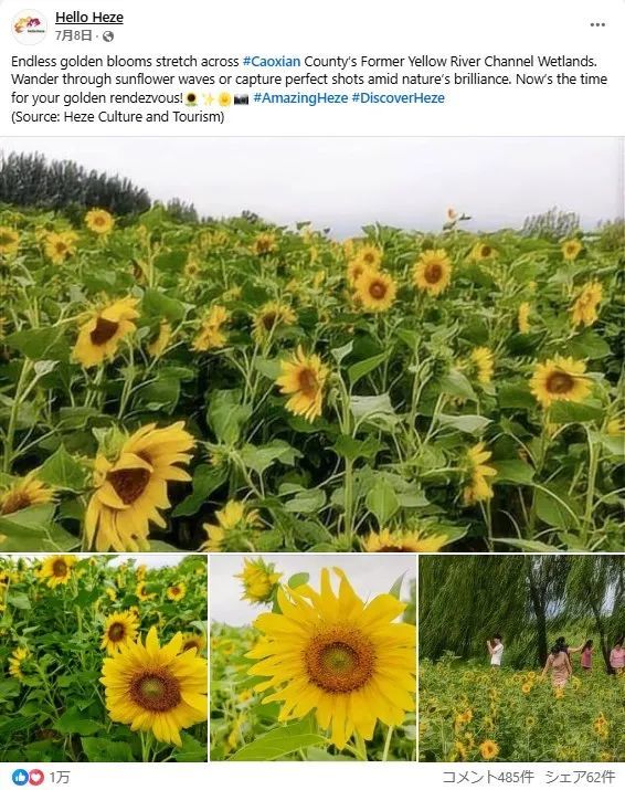 ▲菏泽脸书账号截图