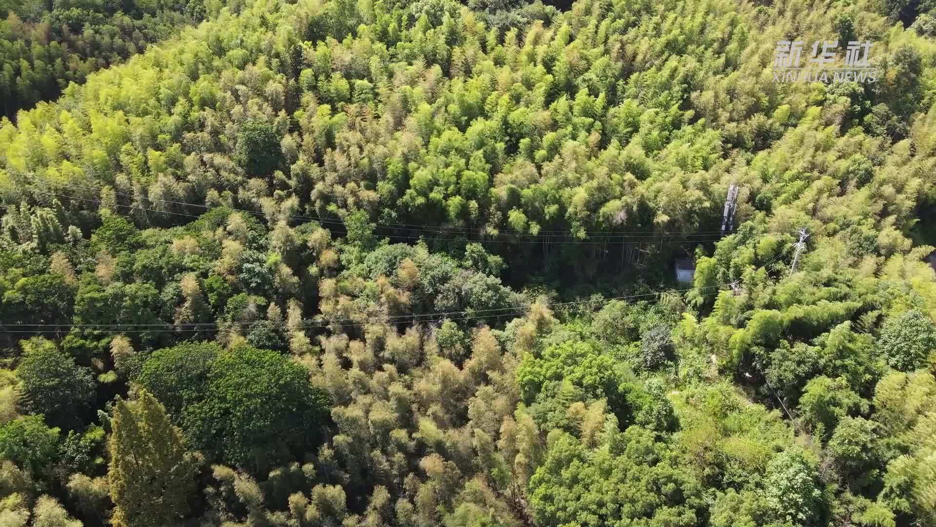 高温下的劳动者｜我在“云端”守护万家灯火