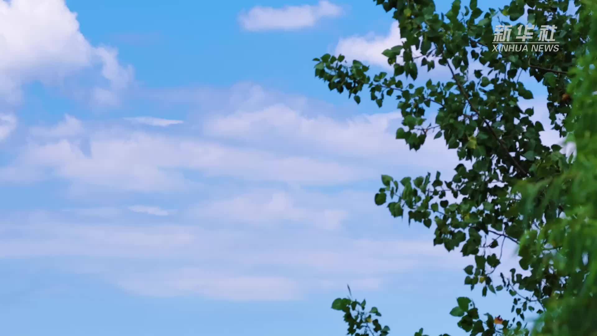 江西湖口：秋野湿地美