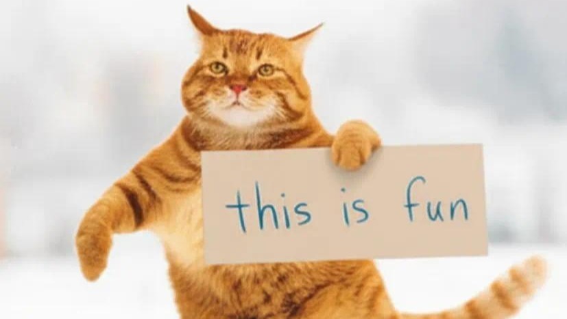 阿里图像生成模型登顶HuggingFace,一句话把马斯克“变老”