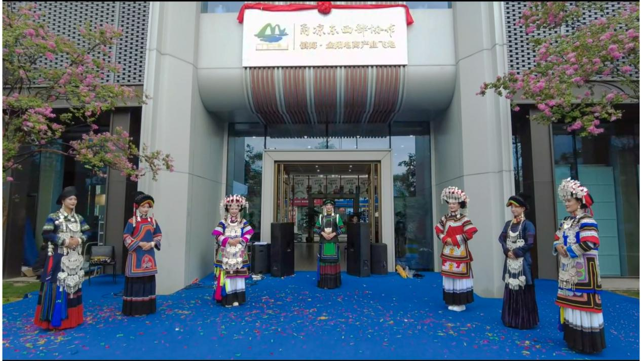 镇海·金阳电商产业飞地（西昌运营中心）开园仪式