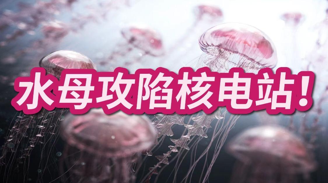 导弹都炸不穿，却被98%是水的水母，堵到停机罢工？