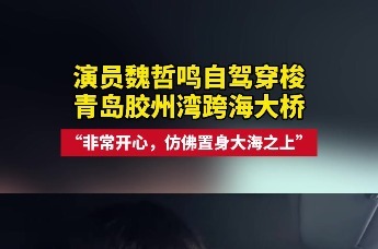 演员魏哲鸣自驾穿梭青岛胶州湾跨海大桥