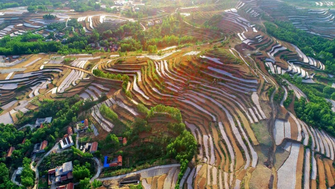 △沂蒙地区的梯田。图/@图虫创意