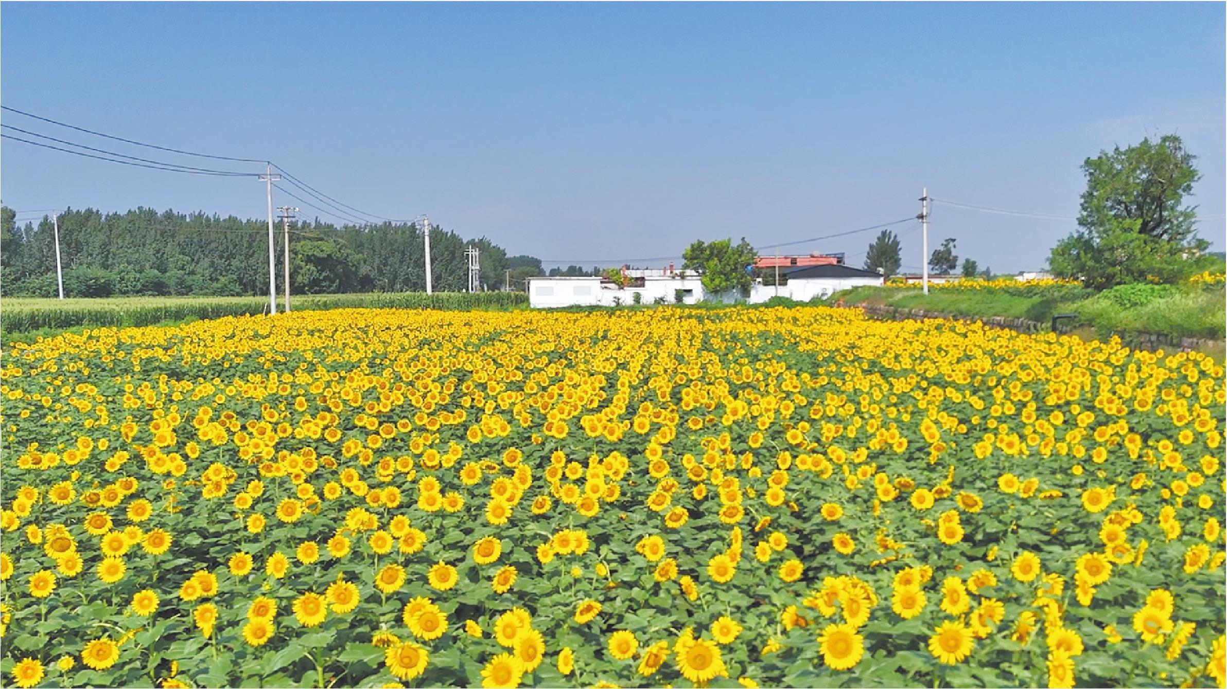 □记者 姜斌 通讯员 石瑶 报道