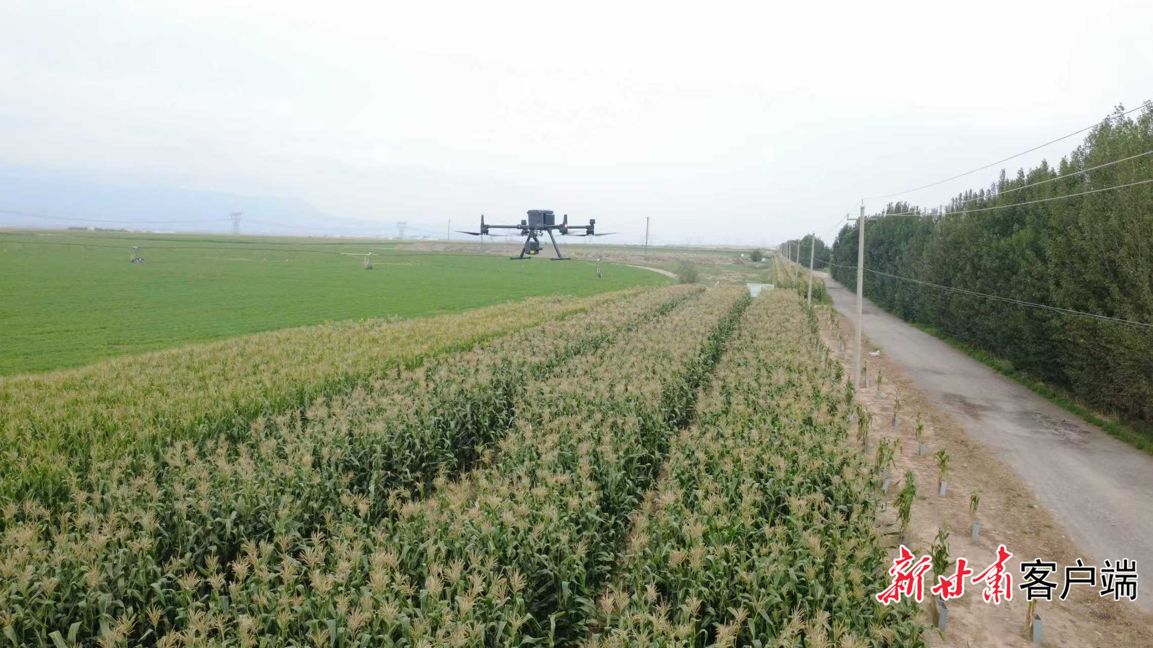 无人机作业现场