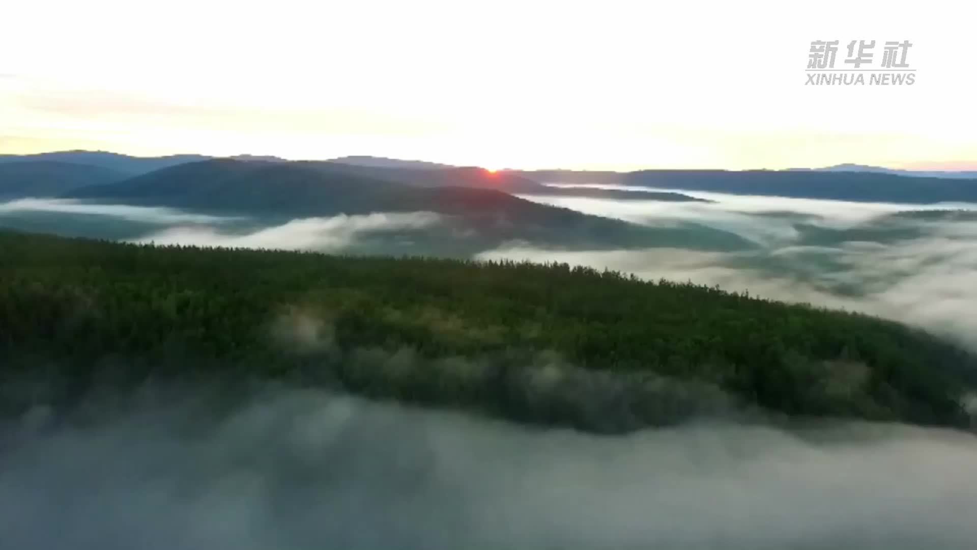 兴安岭“采山人”慢火车