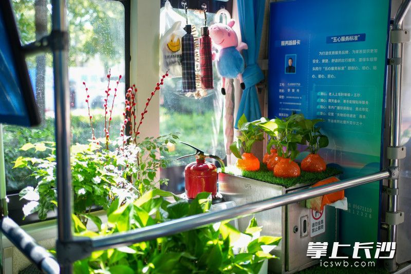 李妮丹把公司配备的绿植布置在车内各处,增添绿意,又准备了雨伞、塑料袋、药箱等供乘客应急。