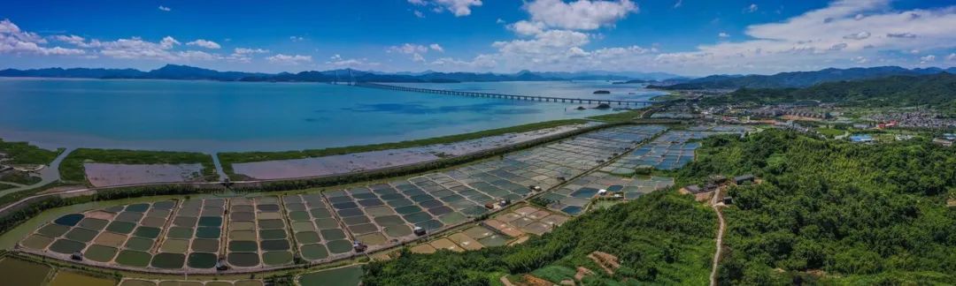 象山港北侧的鄞州海岸线