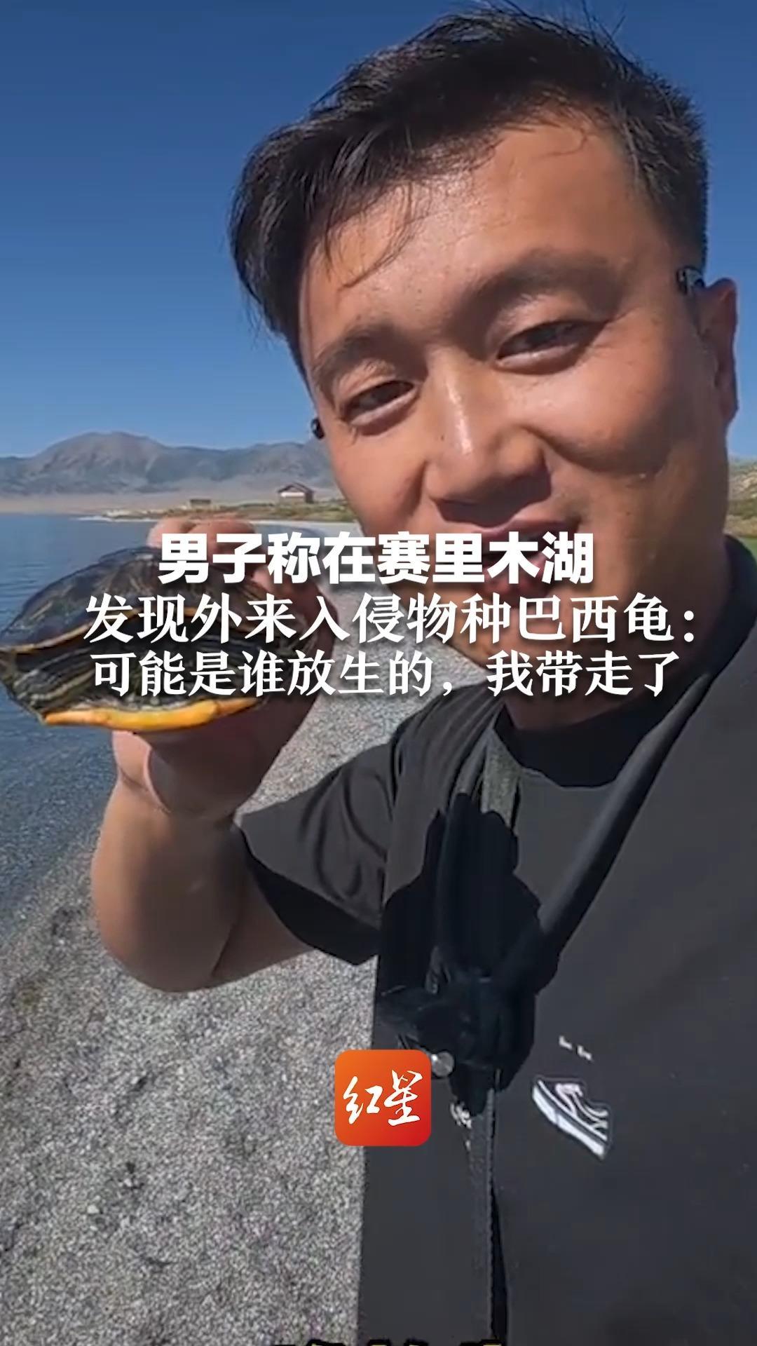 男子称在赛里木湖 发现外来入侵物种巴西龟：可能是谁放生的，我带走了“其适应性和繁殖能力都非常强”