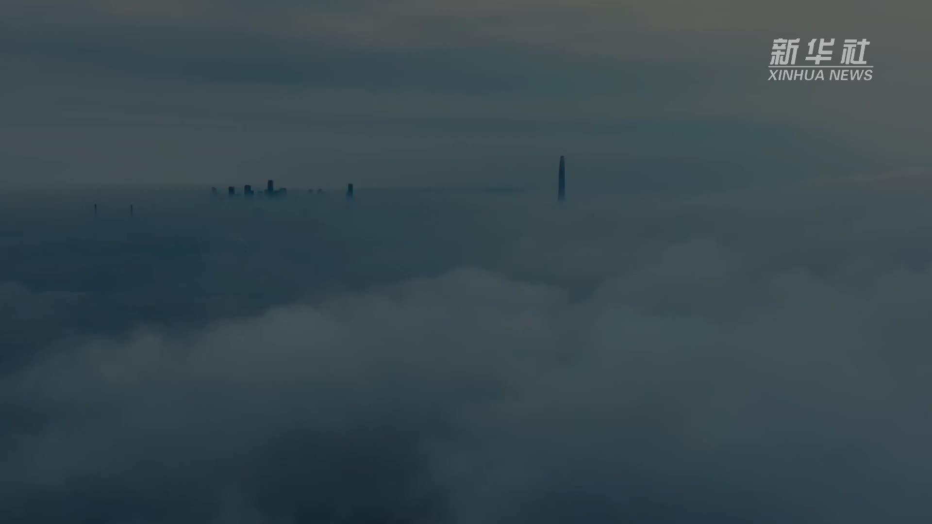 上合组织天津峰会｜贸易联通：一座港口的合作新通道